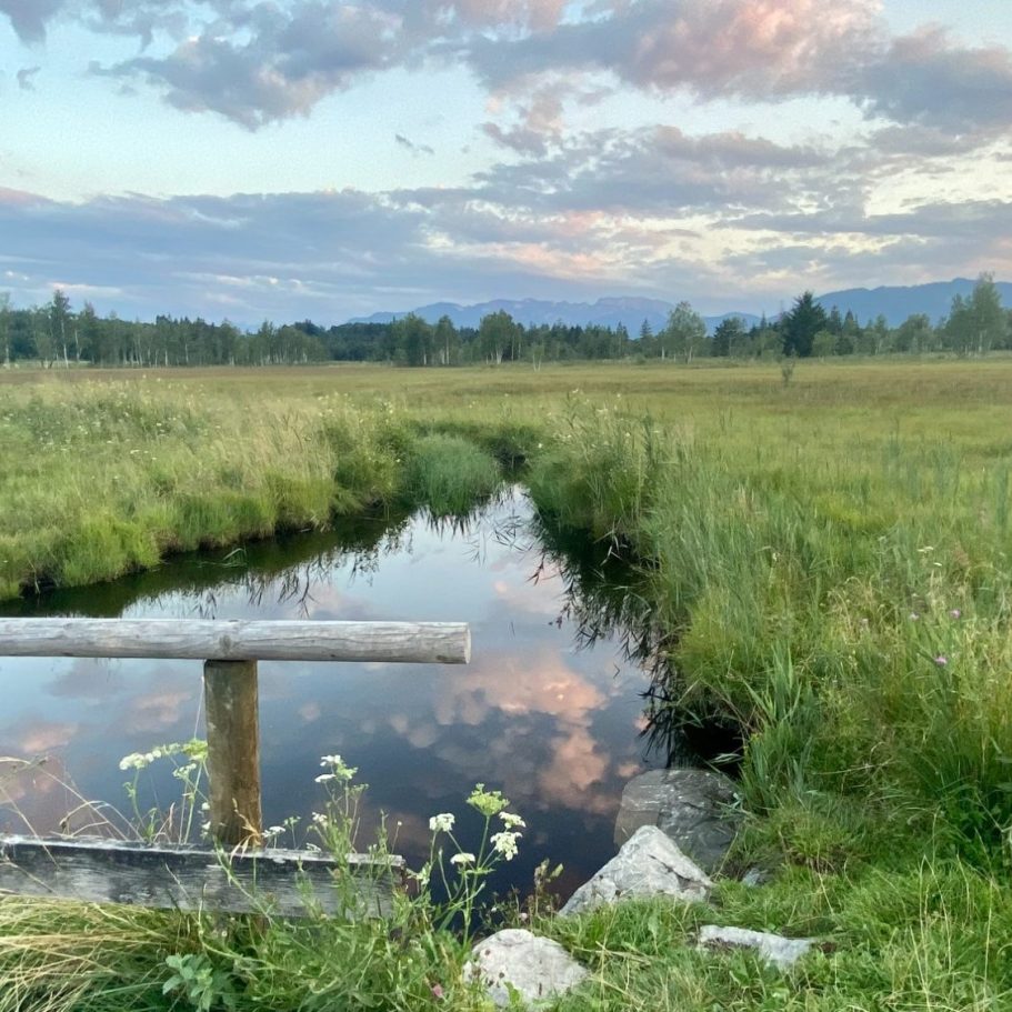Naturcoaching in Bad Tölz, Isarwinkel ein Bach im Ellbacher Moor